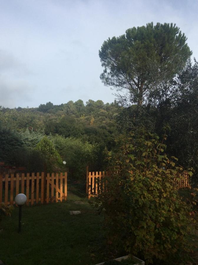 B&B Il Frassino Perugia Exterior foto