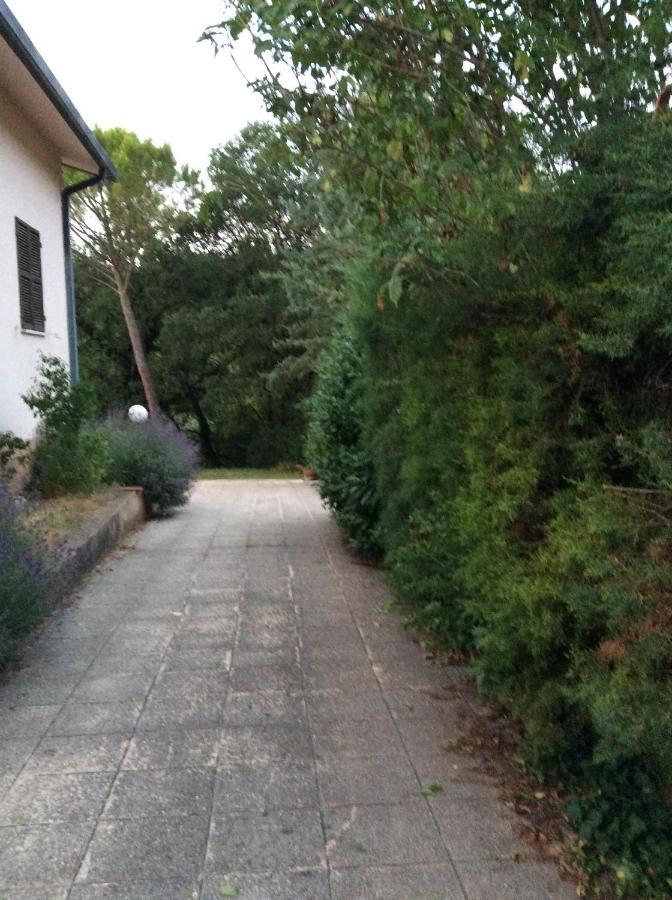B&B Il Frassino Perugia Exterior foto