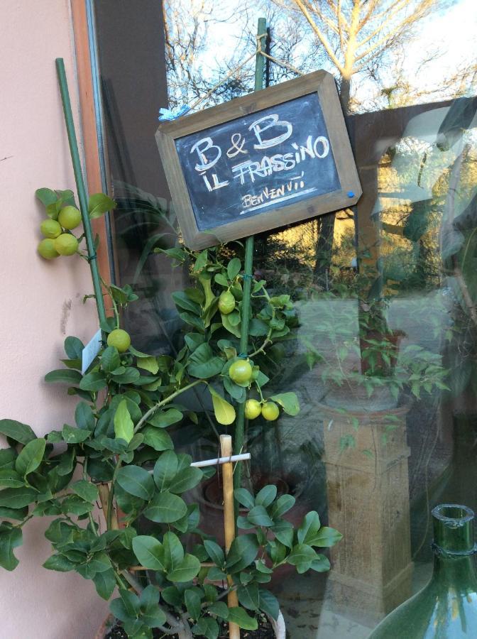 B&B Il Frassino Perugia Exterior foto